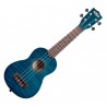 Vista Inclinada Kala Kasemb Soprano Exotic