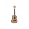 Frontal Tanglewood Twt3