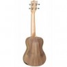 Trasera Tanglewood Twt3