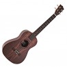 Vista Inclinada Tanglewood Twt20