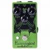 Vista Frontal EarthQuaker Devices Hummingbird v4