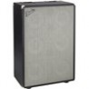 Perfil Fender Bassman 610 Neo Cabinet