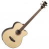 Vista Inclinada Tanglewood TW8AB