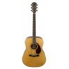 Fender Paramount Pm-1 Standard Dreadnought Nat