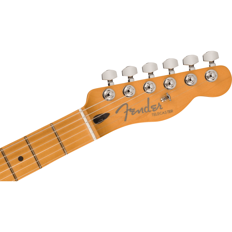 Guitarra Eléctrica Sólida Fender Player Plus Telecaster Mn-Btb