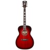 D'Angelico Premier Tammany Trans Black Cherry Bst