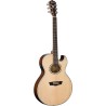 Washburn Festival Series Ea20-S Nuno Bettencourt