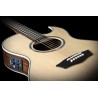 Washburn Festival Series Ea20-S Nuno Bettencourt