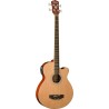 Washburn AB5 Natural