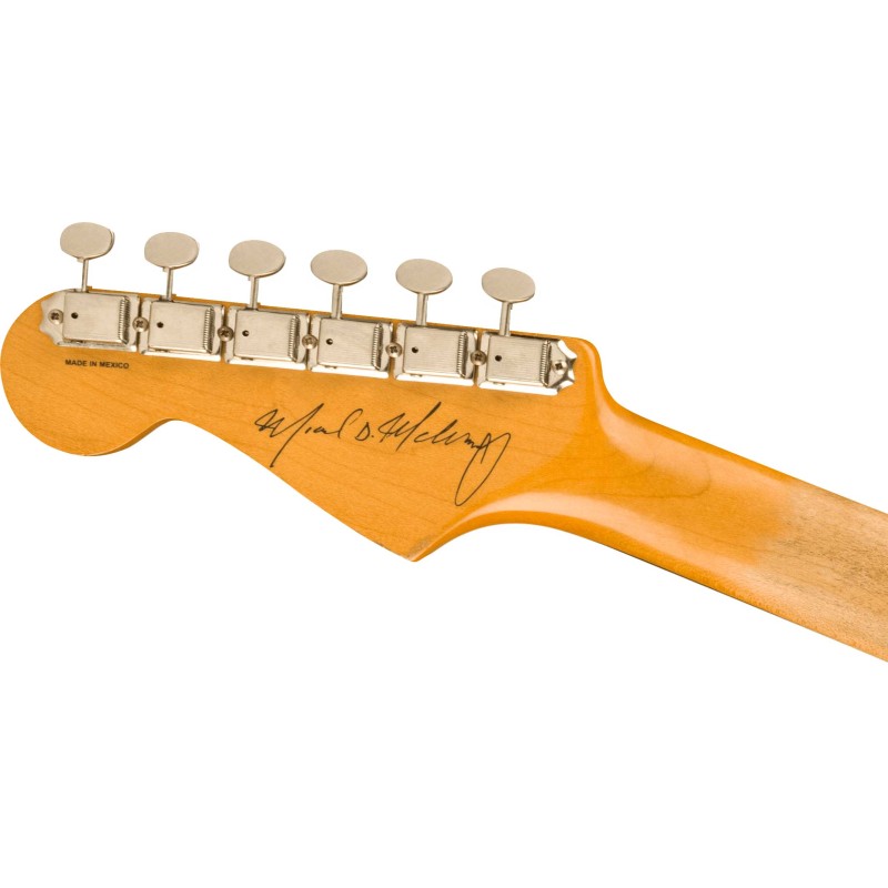 0145310700 Fender Stratocaster Mike Mccready