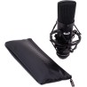 Cad Audio GXL2200