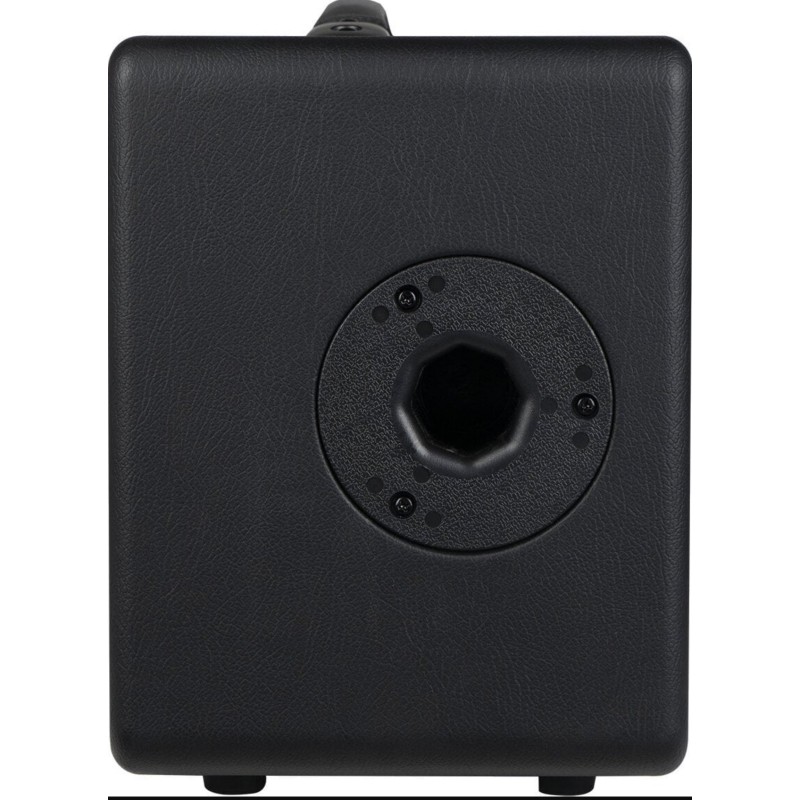 AC-40S Joyo AC40S Amplificador de Guitarra Acústica 40W