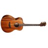 Bromo BAT2M Guitarra Acústica Natural
