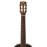 Bromo BAR6H HS Historic Sunburst Guitarra Acústica