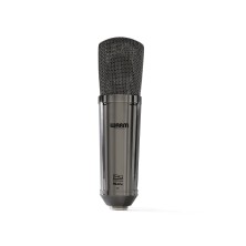 Warm Audio WA-87 R2 TS Par de micrófonos de condensador Ed. Limitada Titanium Silver