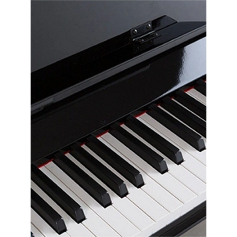 PROM-S65PE ProKeys S-65 Negro Pulido