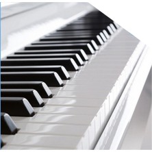 ProKeys S-65 Blanco Pulido