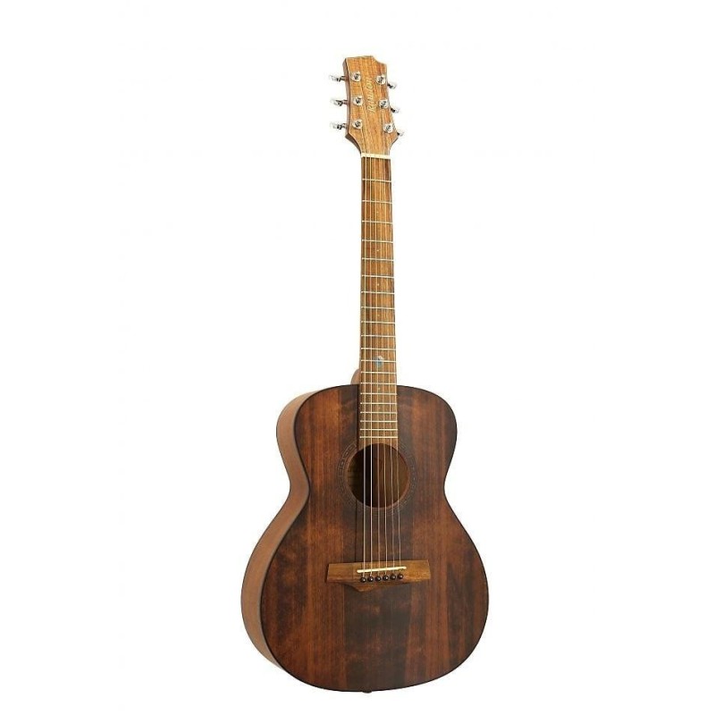 120014 Randon RGI-14 MINI VT Guitarra acústica Mini
