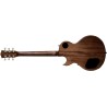 Stanford CR Fleetwood Amberburst