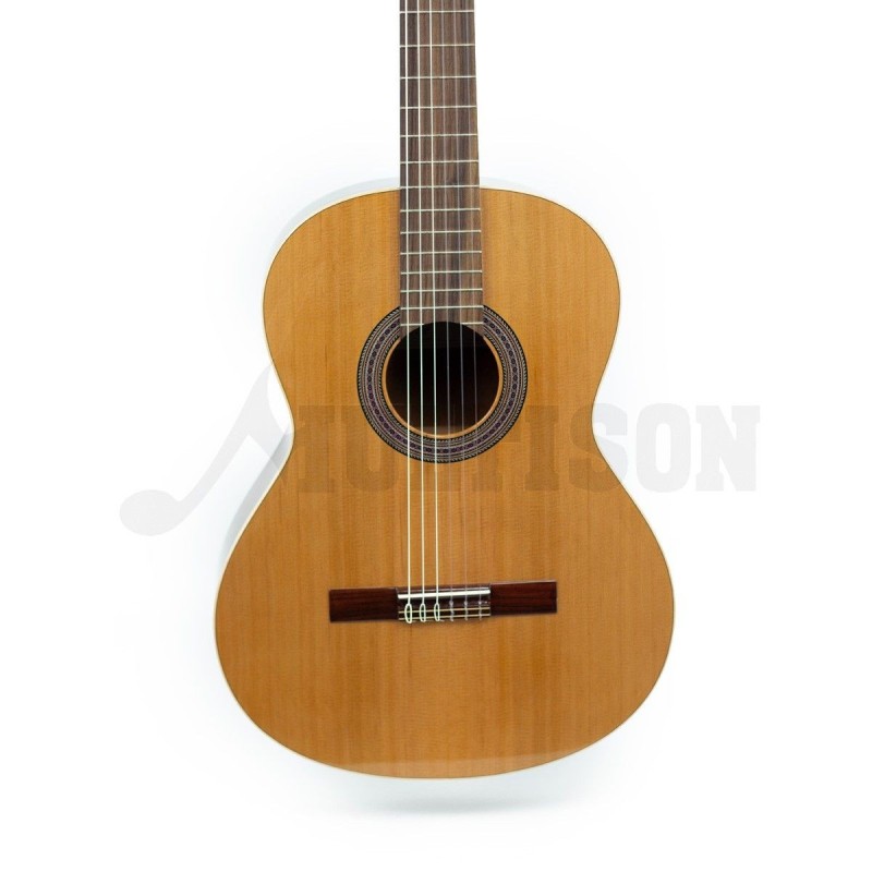 044970 Jose Torres JTC-5 SB