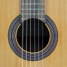 Jose Torres JTC-5 SB