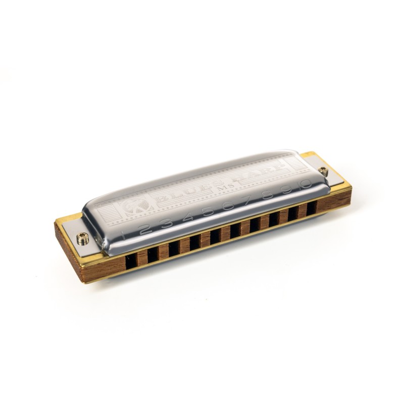 732491 Hohner Blues Harp G Major New