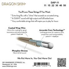 717369 DR DAP-11 Dragon Skin + Coated Phosphor Bronze Custom Light