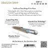 DR DAP-11 Dragon Skin + Coated Phosphor Bronze Custom Light