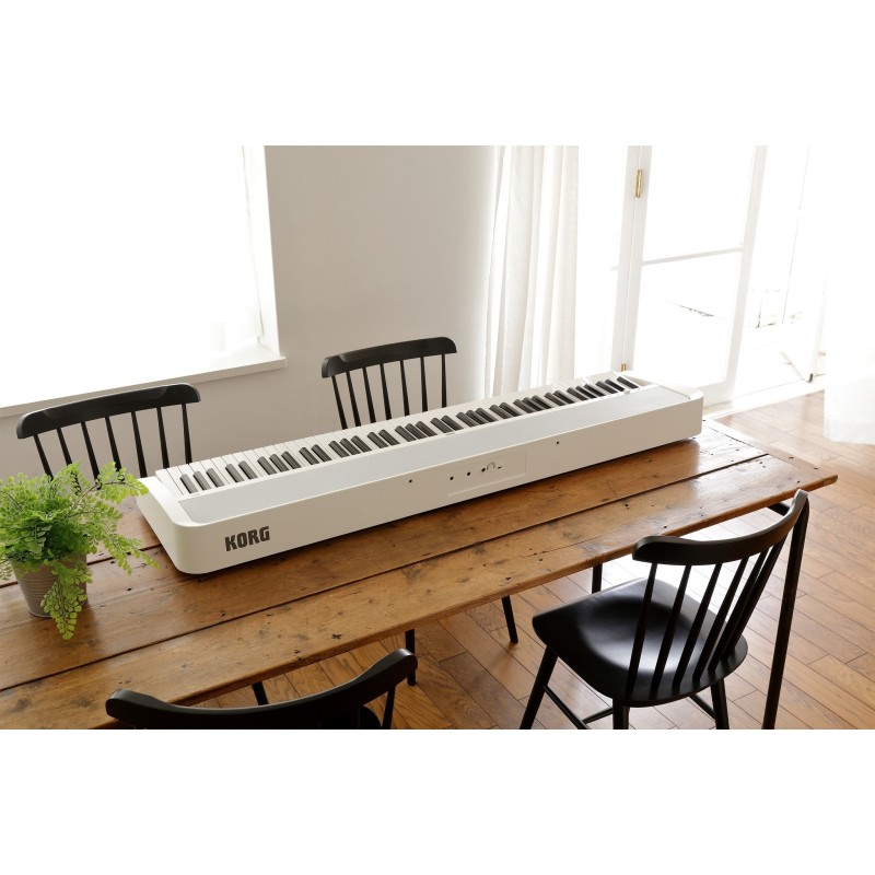 735759 Korg B2+ WH Piano digital blanco