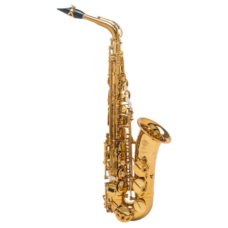 231SSASIGDGG Selmer Signature Lacado Saxofón Alto Dorado Goldmessing Grabado DGG