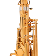 231SSASIGDGG Selmer Signature Lacado Saxofón Alto Dorado Goldmessing Grabado DGG
