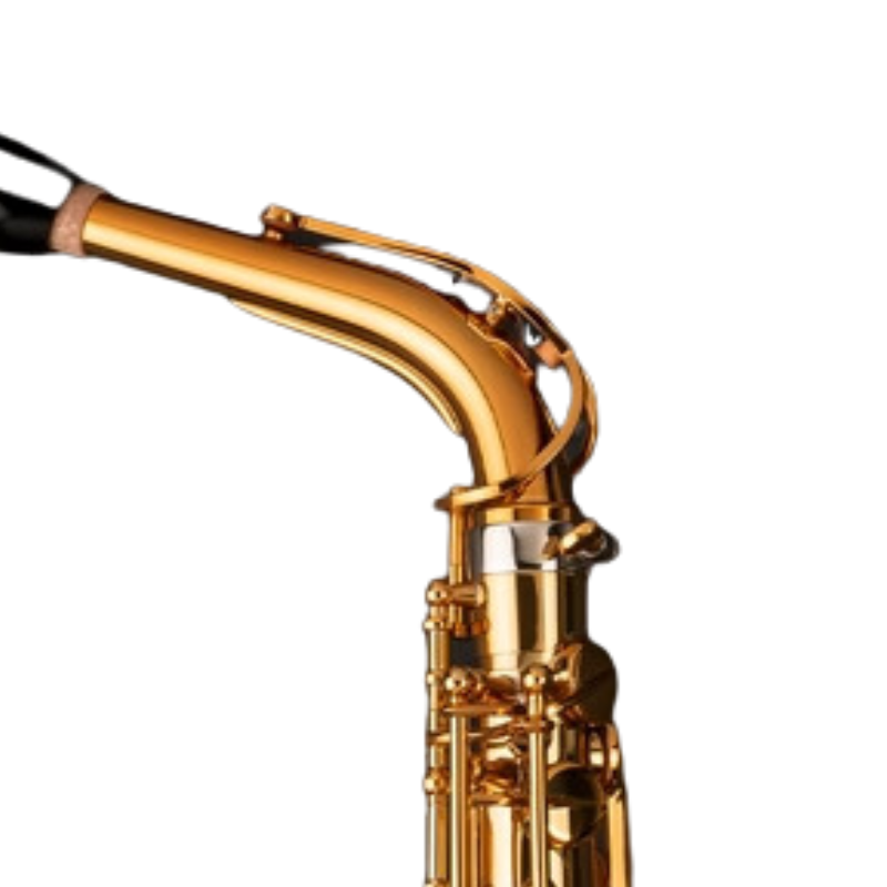 231SSASIGDGG Selmer Signature Lacado Saxofón Alto Dorado Goldmessing Grabado DGG