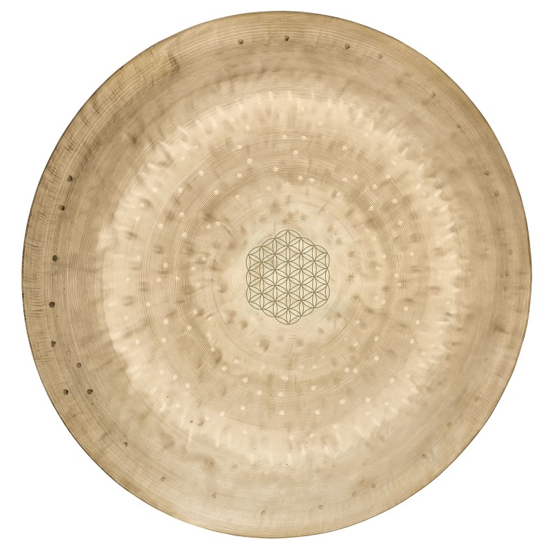 2 Meinl Sonic Energy WGFOL12 Wind Gong 12" Flor de la Vida