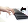 PROKEYS S-55 BK Piano 7 octavas con 88 teclas contrapesadas