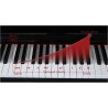 PROKEYS S-55 BK Piano 7 octavas con 88 teclas contrapesadas