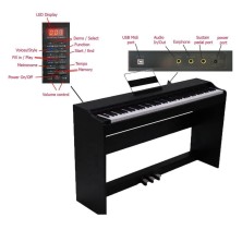 PROM-S55BK PROKEYS S-55 BK Piano 7 octavas con 88 teclas contrapesadas