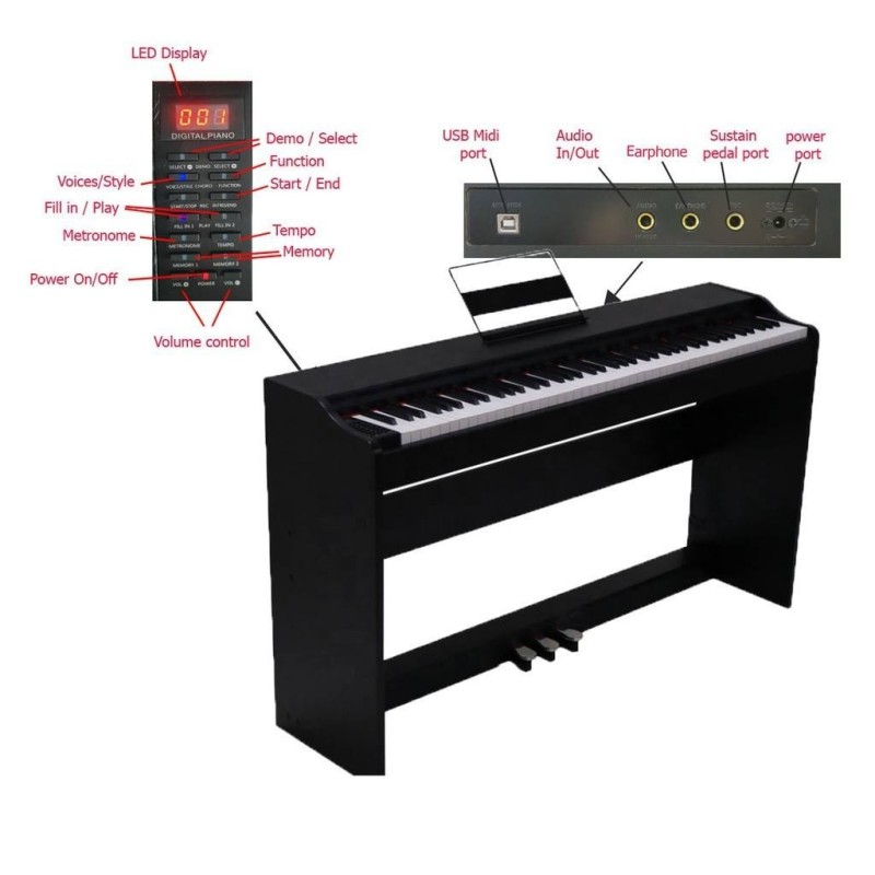 PROM-S55BK PROKEYS S-55 BK Piano 7 octavas con 88 teclas contrapesadas