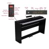 PROKEYS S-55 BK Piano 7 octavas con 88 teclas contrapesadas