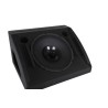 Proel WD15AV2 Monitor Amplificado 15''