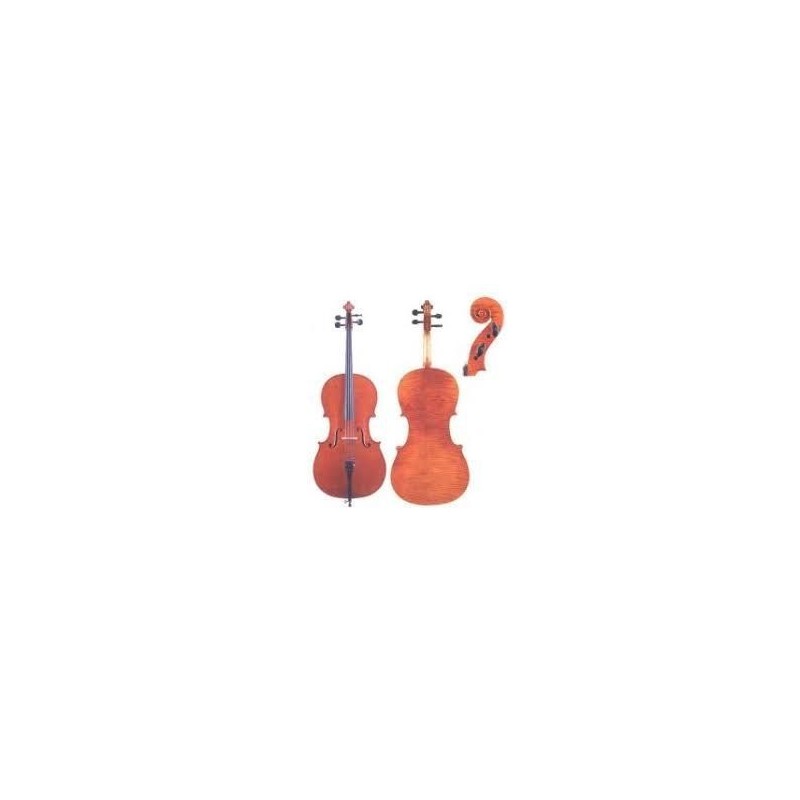 BERAVL13 Berona corelli 13 viola