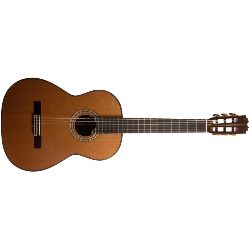 AT270C Antonio de Toledo AT270C Palosanto Guitarra Clásica