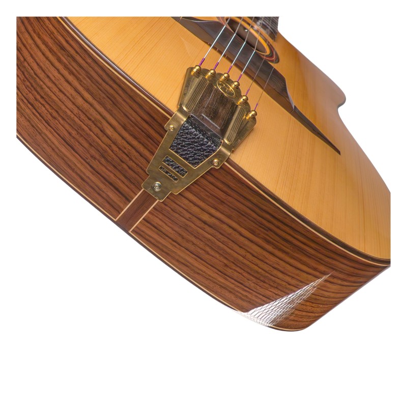 718848 Jose Torres JTG-11-0 Guitarra Gypsy Brillante