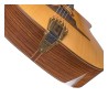 Jose Torres JTG-11-0 Guitarra Gypsy Brillante