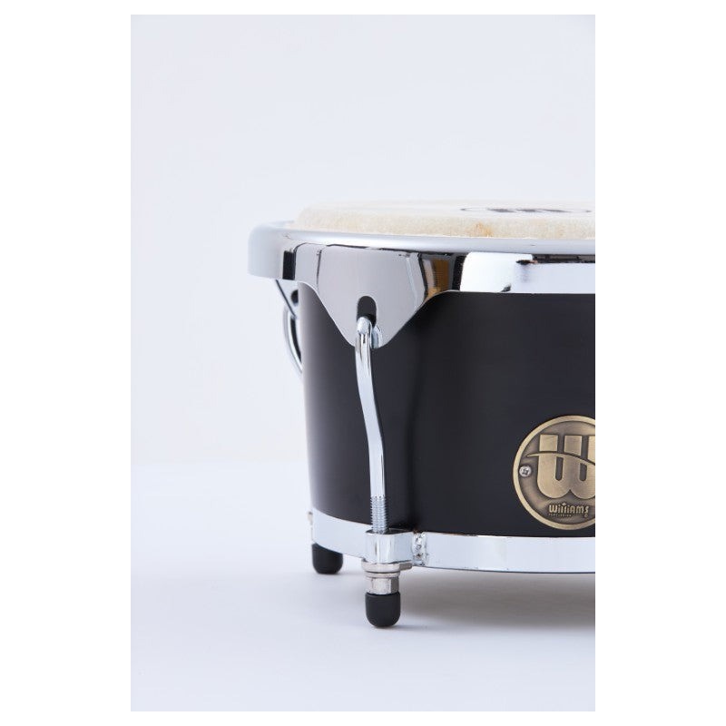 ARDI-WSBG785C-KM Williams 7-8,5" Bongo Santaclave Black Satin