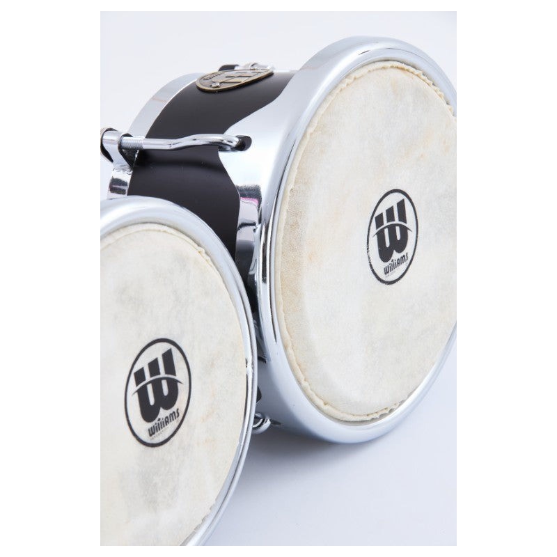 ARDI-WSBG785C-KM Williams 7-8,5" Bongo Santaclave Black Satin