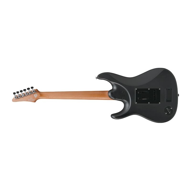 BER10 Ibanez BER10 Bernth Signature Model Edición Limitada Black Guitarra Eléctrica con Funda