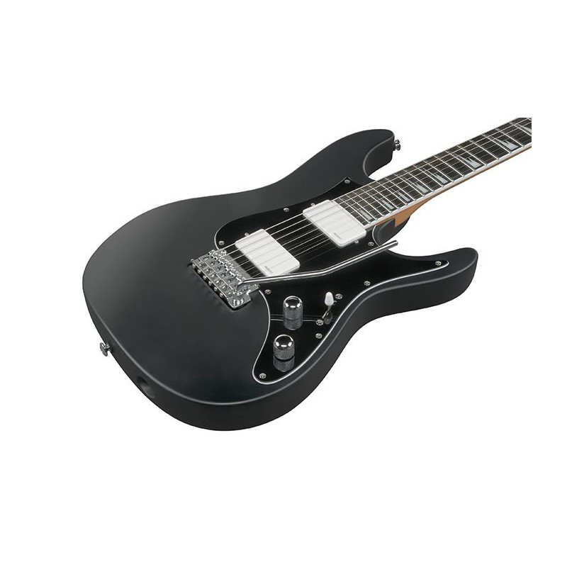 BER10 Ibanez BER10 Bernth Signature Model Edición Limitada Black Guitarra Eléctrica con Funda