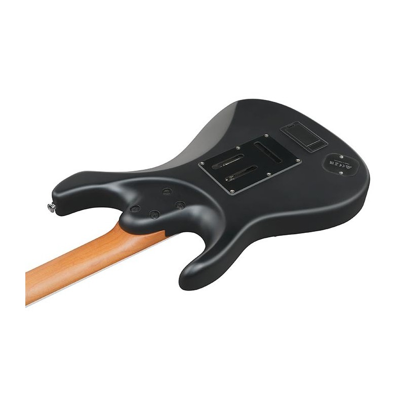 BER10 Ibanez BER10 Bernth Signature Model Edición Limitada Black Guitarra Eléctrica con Funda