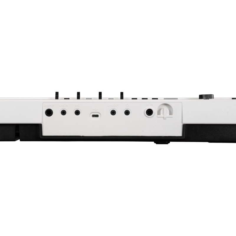 754107 Korg LIANO LIVE! Piano digital