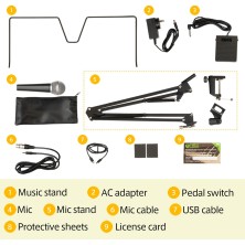 754107 Korg LIANO LIVE! Piano digital